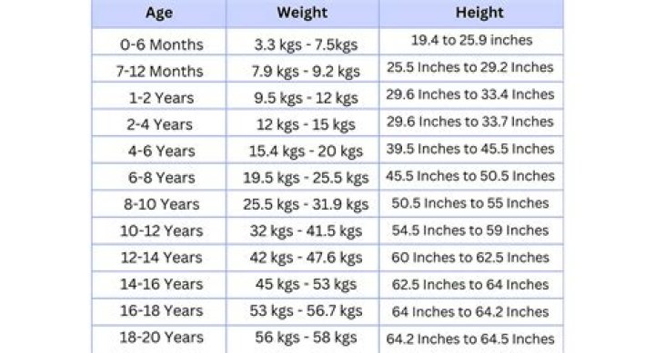 Kevin James's Comprehensive Weight And Height Statistics